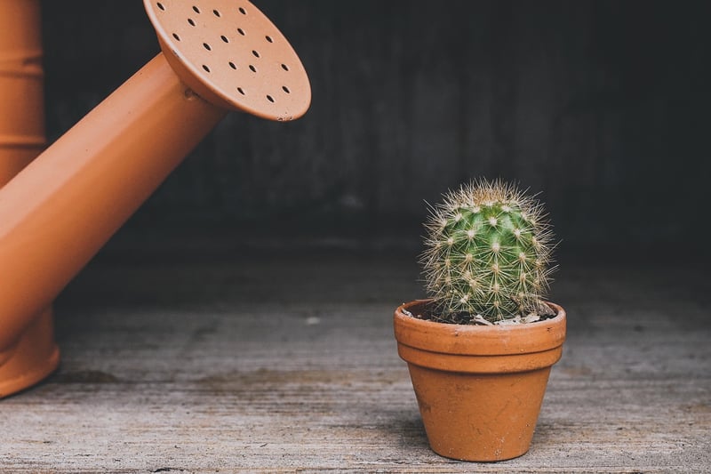 Sustainable Planters
